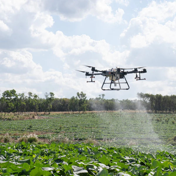 3 Ways Agricultural Drones Increase Crop Yield