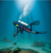 Fisher Labs CZ21-8 Underwater Metal Detector